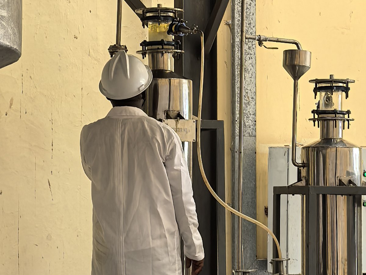 Bulk Aromatic Materials